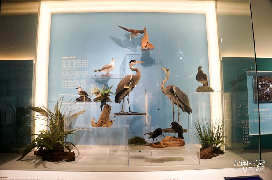 6馬祖連江縣南竿馬祖民俗文物館博物館蔣經國先生紀念堂.jpg 6馬祖連江縣南竿馬祖民俗文物館博物館蔣經國先生紀念堂.jpg