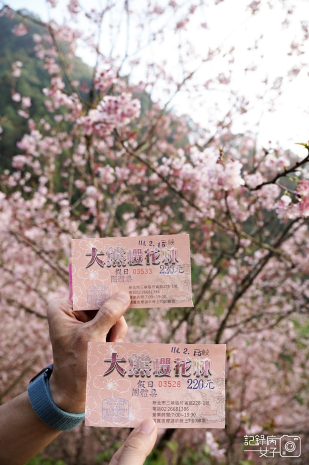 3台北熊空新北三峽大熊櫻花林門票營業時間.jpg