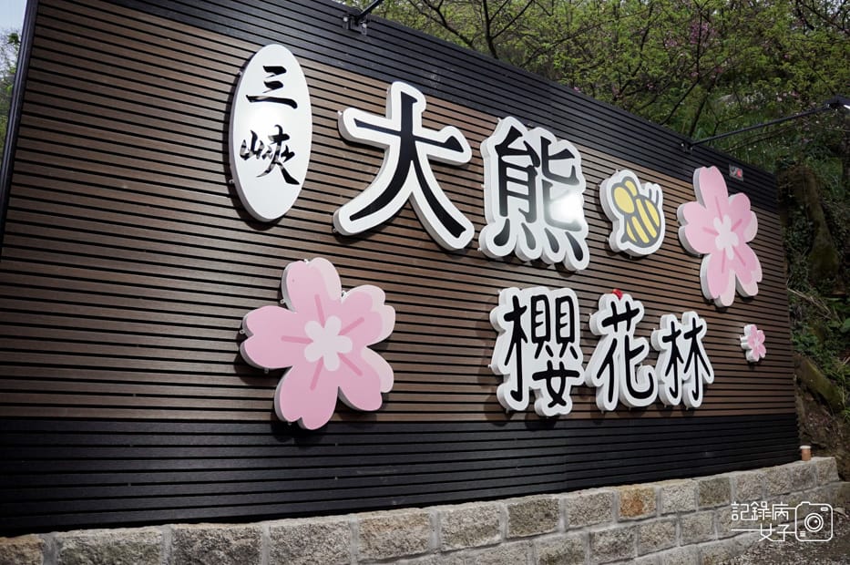 1台北新北三峽大熊櫻花林熊空吉野櫻白櫻花八重櫻.jpg