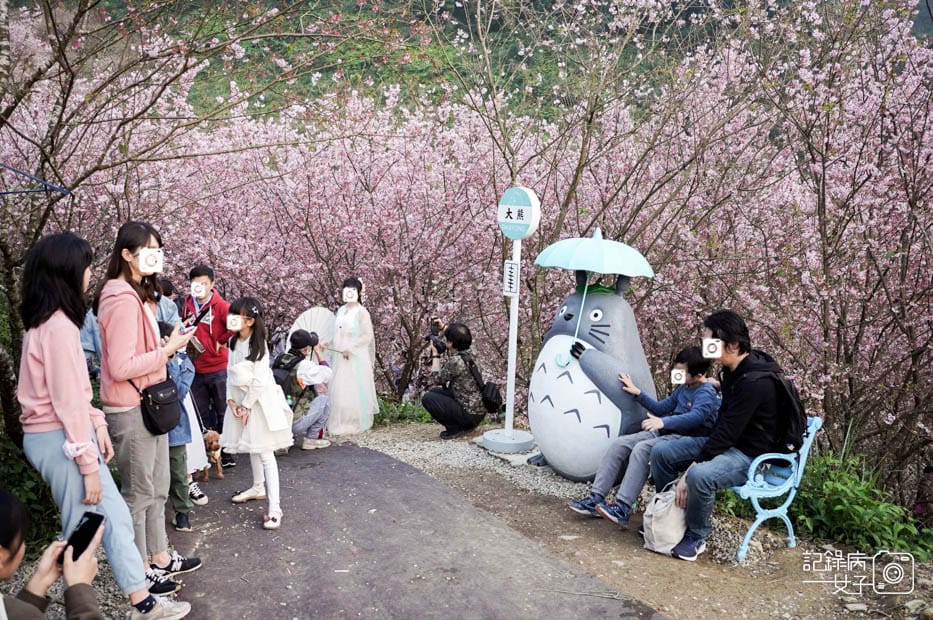 28台北新北三峽大熊櫻花林熊空鳥居熊貓車站.jpg