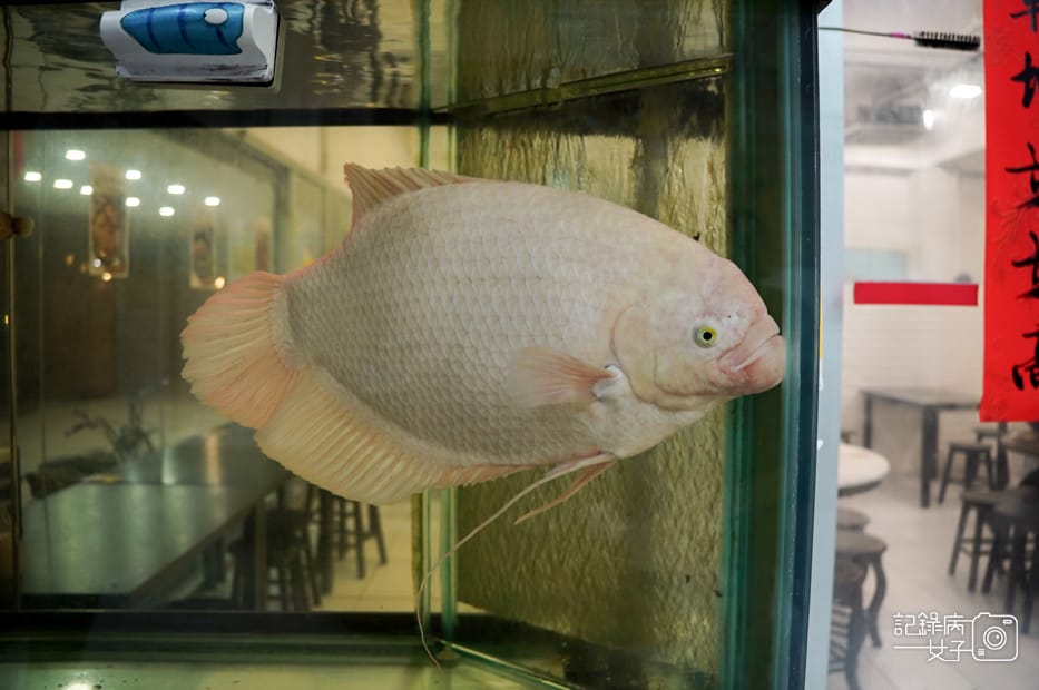 4馬來西亞沙巴Yuan Kee Bak Kut Teh源記肉骨茶砂鍋肉骨茶.jpg 4馬來西亞沙巴Yuan Kee Bak Kut Teh源記肉骨茶砂鍋肉骨茶.jpg