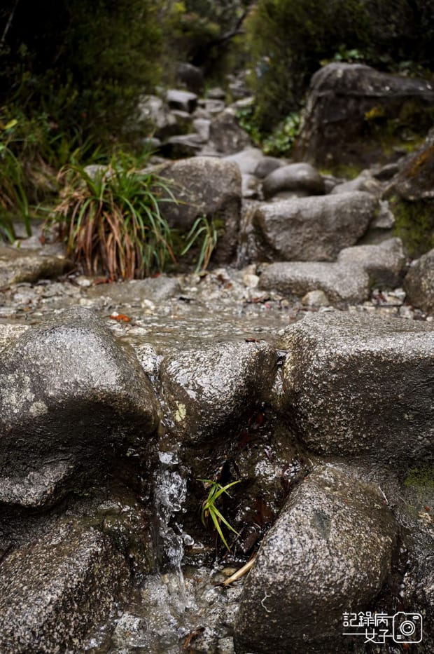 33馬來西亞沙巴神山京那巴魯山Mount Kinabalu兩天一夜高級山屋.jpg