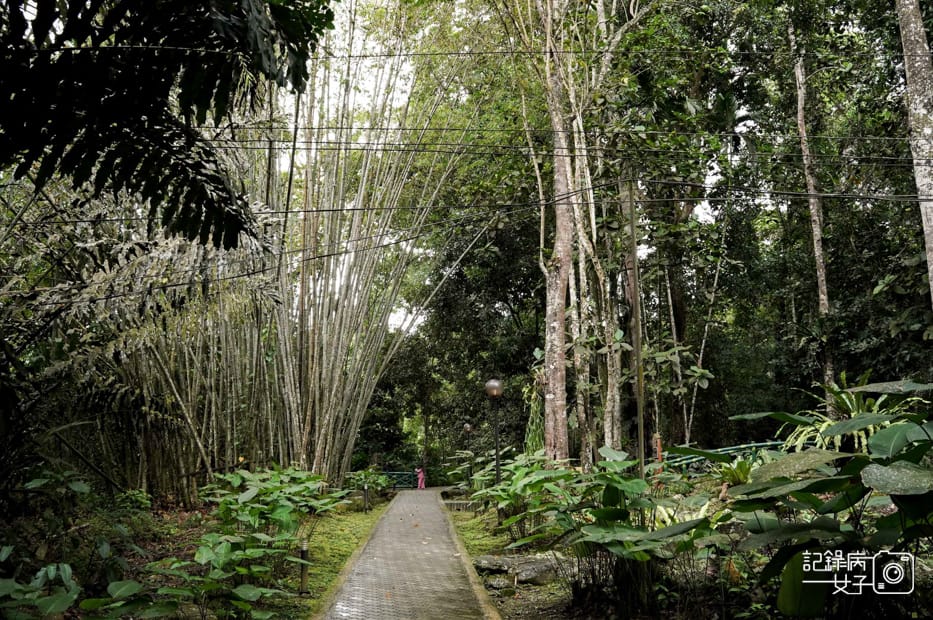 19馬來西亞波令溫泉泡腳阿諾爾特大王花瀑布Poring Hot Spring.jpg 19馬來西亞波令溫泉泡腳阿諾爾特大王花瀑布Poring Hot Spring.jpg