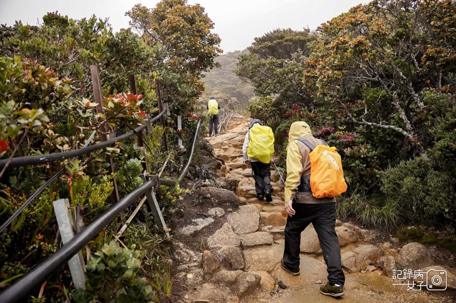 27馬來西亞沙巴神山京那巴魯山Mount Kinabalu兩天一夜高級山屋.jpg