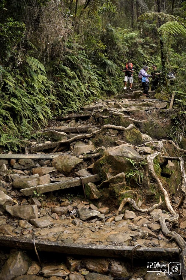 17馬來西亞沙巴神山京那巴魯山Mount Kinabalu兩天一夜高級山屋.jpg
