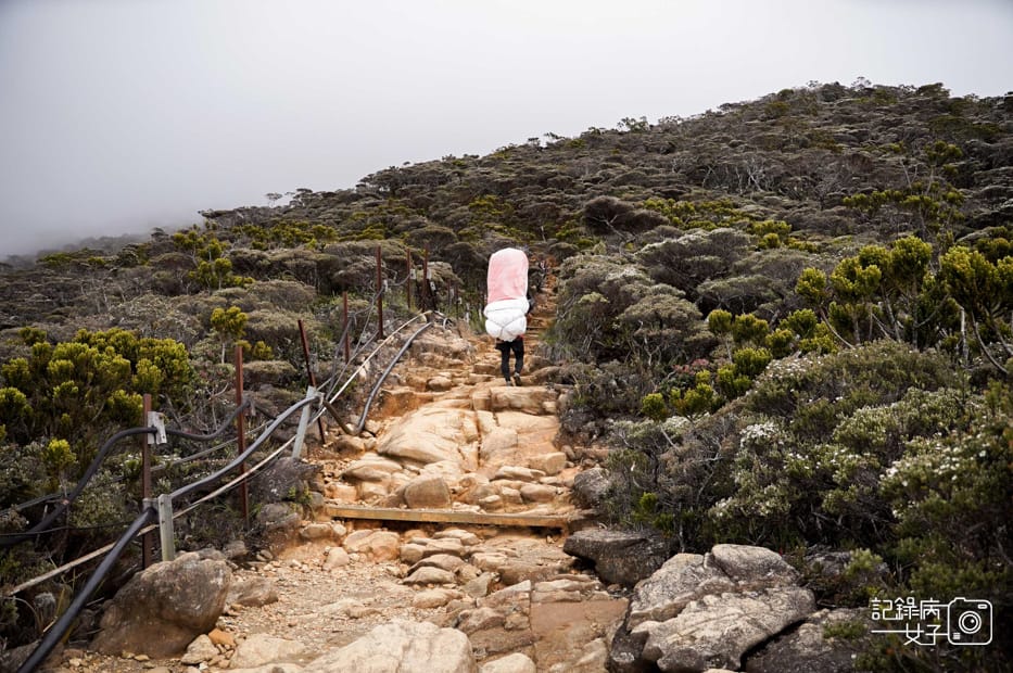 28馬來西亞沙巴神山京那巴魯山Mount Kinabalu兩天一夜高級山屋.jpg