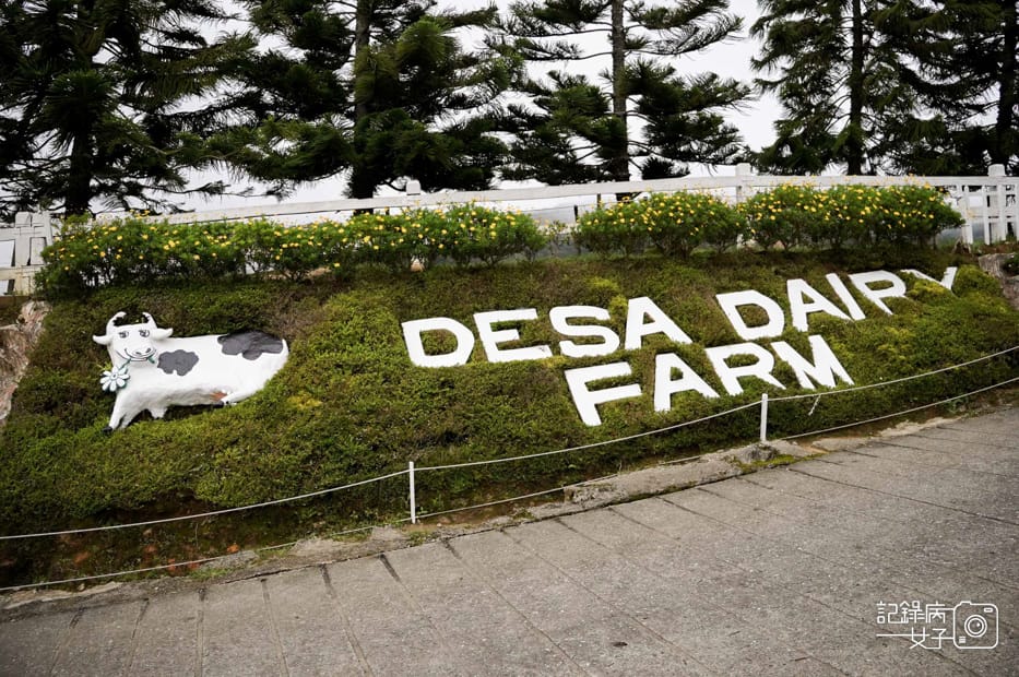 1馬來西亞沙巴Ladang Tenusu Desa Cattle昆達山Desa農場Yogurt ice cream.jpg 1馬來西亞沙巴Ladang Tenusu Desa Cattle昆達山Desa農場Yogurt ice cream.jpg