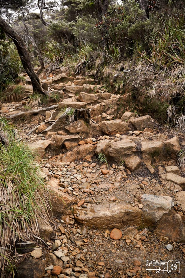 24馬來西亞沙巴神山京那巴魯山Mount Kinabalu兩天一夜高級山屋.jpg