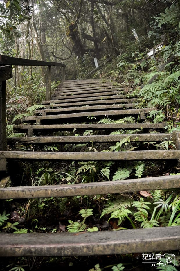 16馬來西亞沙巴神山京那巴魯山Mount Kinabalu兩天一夜高級山屋.jpg