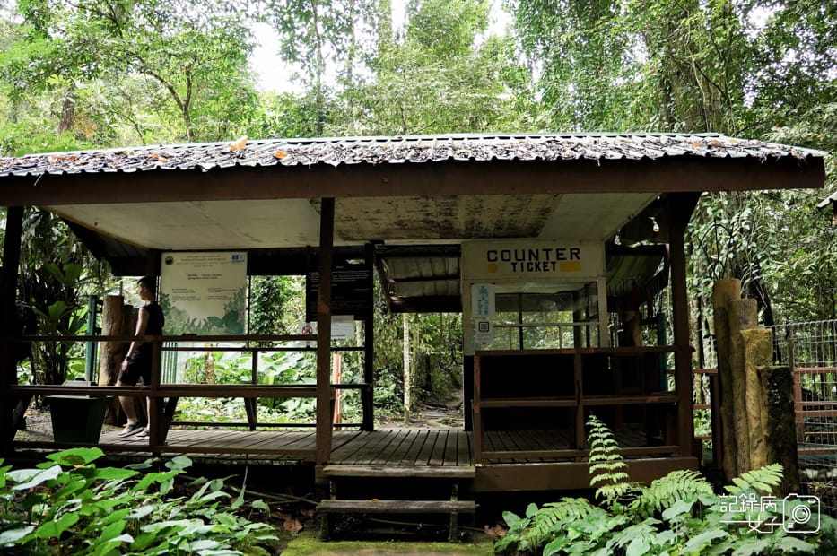 42馬來西亞波令溫泉泡腳阿諾爾特大王花瀑布Poring Hot Spring.jpg 42馬來西亞波令溫泉泡腳阿諾爾特大王花瀑布Poring Hot Spring.jpg