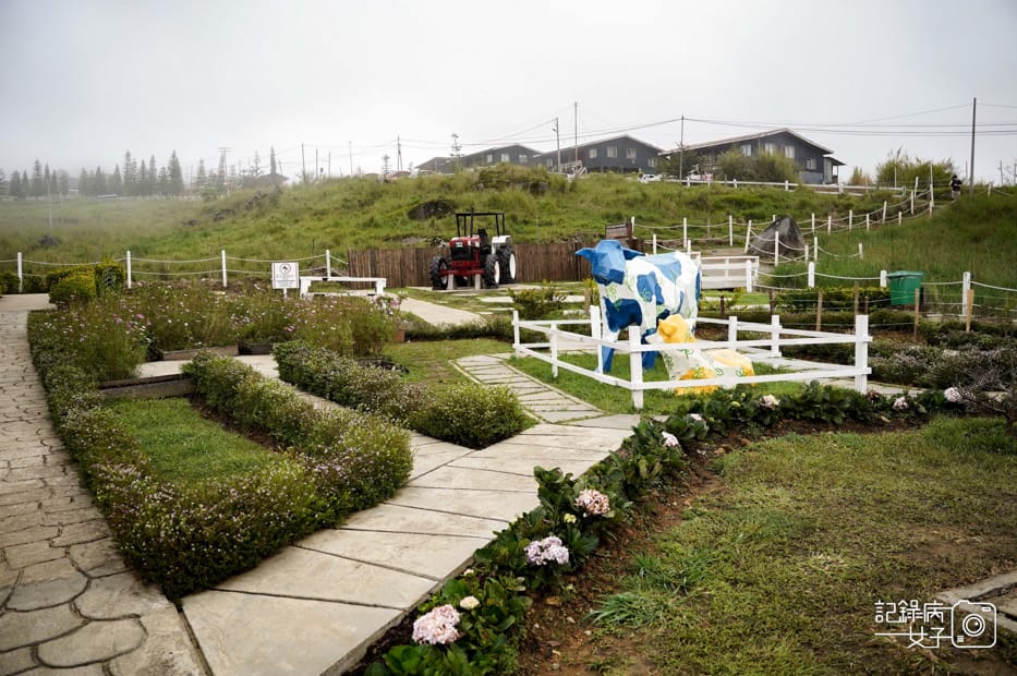 13馬來西亞沙巴Ladang Tenusu Desa Cattle昆達山Desa農場Yogurt ice cream.jpg 13馬來西亞沙巴Ladang Tenusu Desa Cattle昆達山Desa農場Yogurt ice cream.jpg