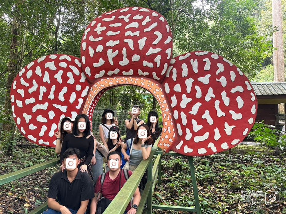 46馬來西亞波令溫泉Poring Hot Spring阿諾爾特大花草Rafflesia arnoldiiR. Br.jpg 46馬來西亞波令溫泉Poring Hot Spring阿諾爾特大花草Rafflesia arnoldiiR. Br.jpg