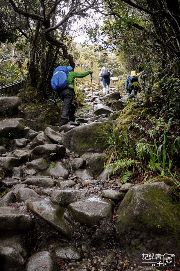 32馬來西亞沙巴神山京那巴魯山Mount Kinabalu兩天一夜高級山屋.jpg
