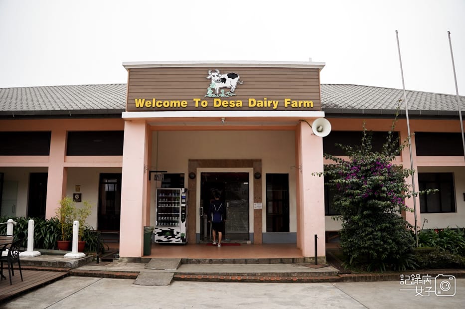 6馬來西亞沙巴Ladang Tenusu Desa Cattle昆達山Desa農場Yogurt ice cream.jpg 6馬來西亞沙巴Ladang Tenusu Desa Cattle昆達山Desa農場Yogurt ice cream.jpg