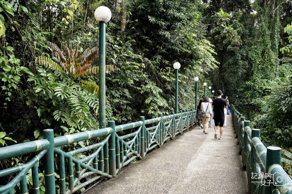 20馬來西亞波令溫泉泡腳阿諾爾特大王花瀑布Poring Hot Spring.jpg 20馬來西亞波令溫泉泡腳阿諾爾特大王花瀑布Poring Hot Spring.jpg