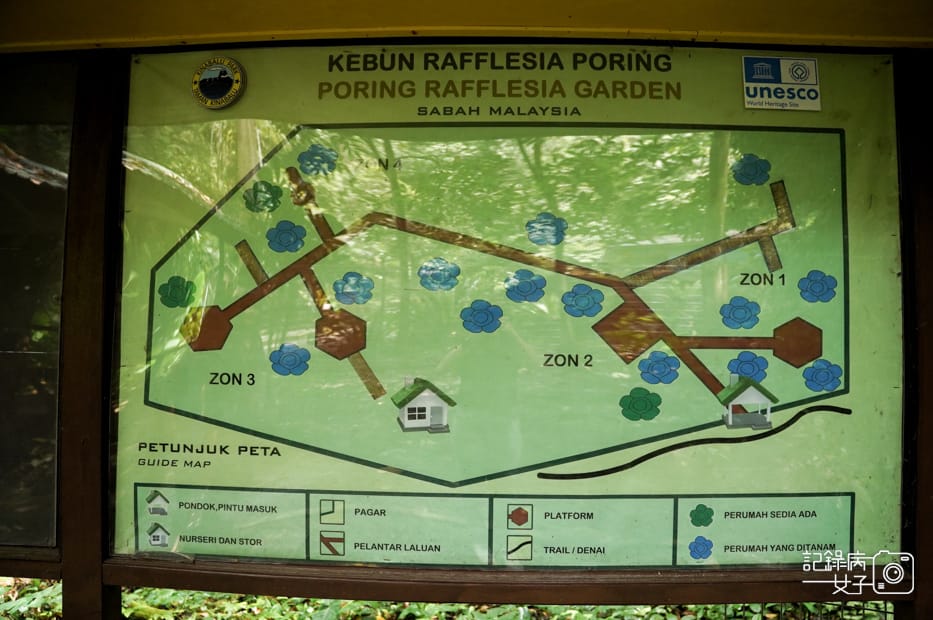 43馬來西亞波令溫泉泡腳阿諾爾特大王花瀑布Poring Hot Spring.jpg 43馬來西亞波令溫泉泡腳阿諾爾特大王花瀑布Poring Hot Spring.jpg