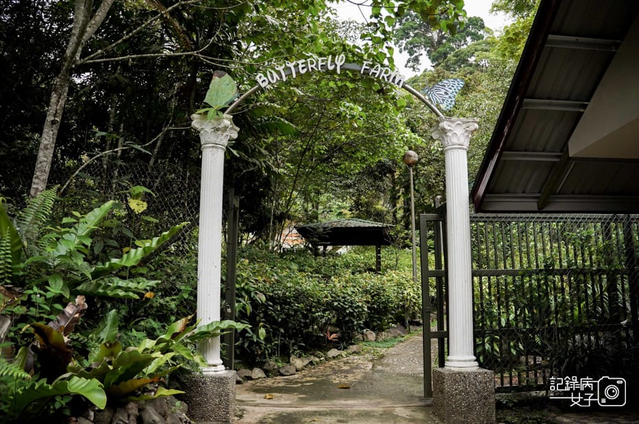 29馬來西亞波令溫泉泡腳阿諾爾特大王花瀑布Poring Hot Spring.jpg 29馬來西亞波令溫泉泡腳阿諾爾特大王花瀑布Poring Hot Spring.jpg