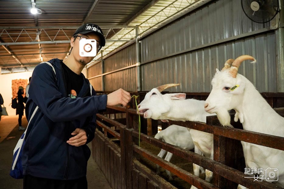 22馬來西亞沙巴Ladang Tenusu Desa Cattle昆達山Desa農場Yogurt ice cream.jpg 22馬來西亞沙巴Ladang Tenusu Desa Cattle昆達山Desa農場Yogurt ice cream.jpg