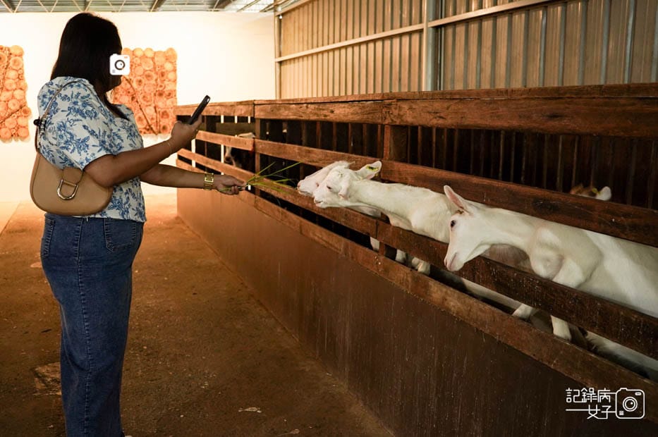 21馬來西亞沙巴Ladang Tenusu Desa Cattle昆達山Desa農場Yogurt ice cream.jpg 21馬來西亞沙巴Ladang Tenusu Desa Cattle昆達山Desa農場Yogurt ice cream.jpg