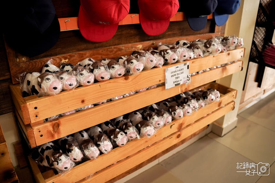 42馬來西亞沙巴Ladang Tenusu Desa Cattle昆達山Desa農場Yogurt ice cream.jpg 42馬來西亞沙巴Ladang Tenusu Desa Cattle昆達山Desa農場Yogurt ice cream.jpg