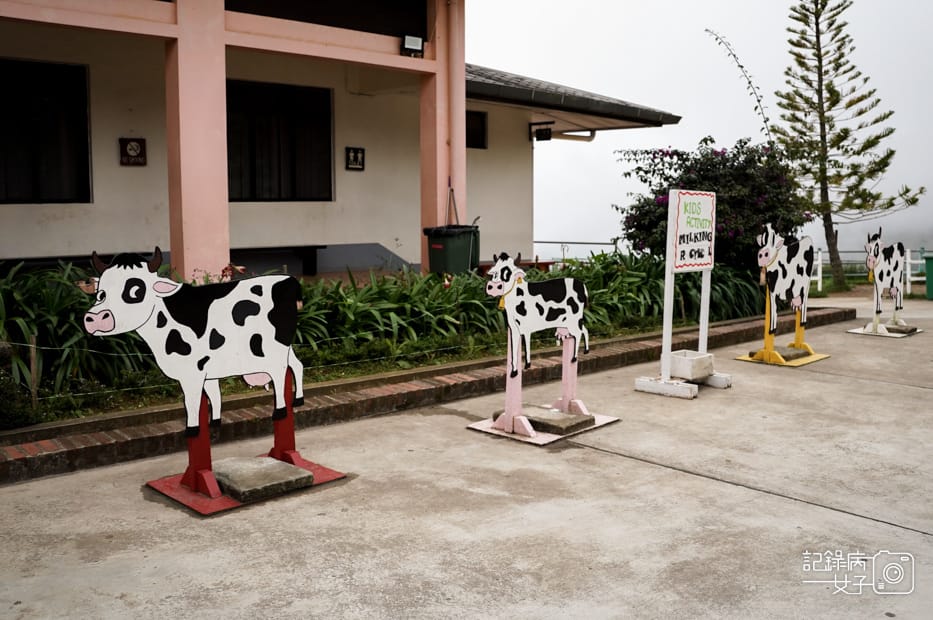 7馬來西亞沙巴Ladang Tenusu Desa Cattle昆達山Desa農場Yogurt ice cream.jpg 7馬來西亞沙巴Ladang Tenusu Desa Cattle昆達山Desa農場Yogurt ice cream.jpg