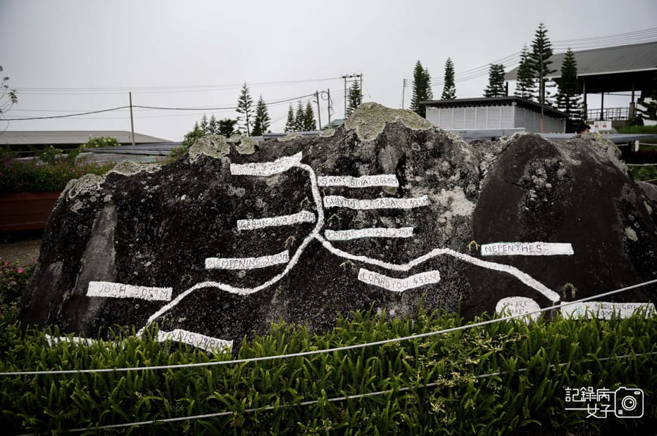 16馬來西亞沙巴Ladang Tenusu Desa Cattle昆達山Desa農場Yogurt ice cream.jpg 16馬來西亞沙巴Ladang Tenusu Desa Cattle昆達山Desa農場Yogurt ice cream.jpg