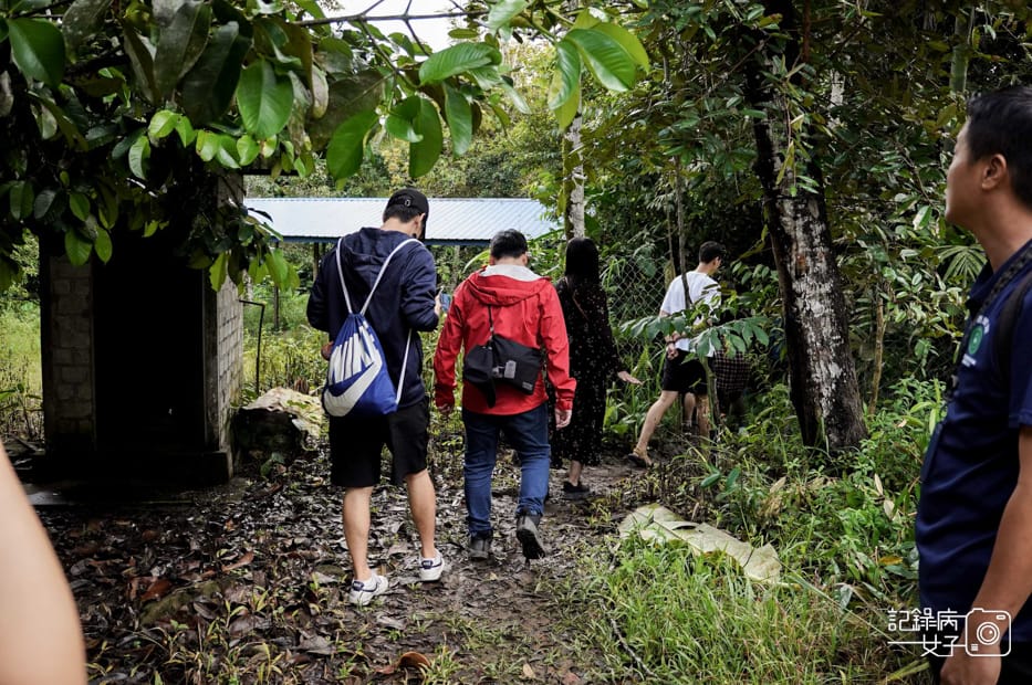 5馬來西亞波令溫泉Poring Hot Spring阿諾爾特大花草Rafflesia arnoldiiR. Br.jpg 5馬來西亞波令溫泉Poring Hot Spring阿諾爾特大花草Rafflesia arnoldiiR. Br.jpg