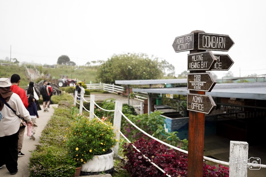 12馬來西亞沙巴Ladang Tenusu Desa Cattle昆達山Desa農場Yogurt ice cream.jpg 12馬來西亞沙巴Ladang Tenusu Desa Cattle昆達山Desa農場Yogurt ice cream.jpg