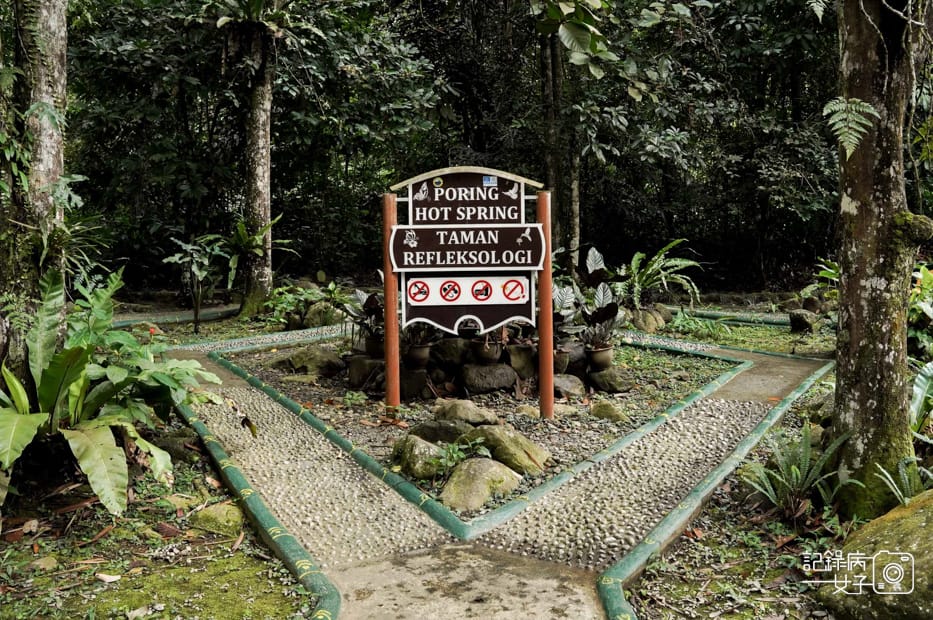18馬來西亞波令溫泉泡腳阿諾爾特大王花瀑布Poring Hot Spring.jpg 18馬來西亞波令溫泉泡腳阿諾爾特大王花瀑布Poring Hot Spring.jpg