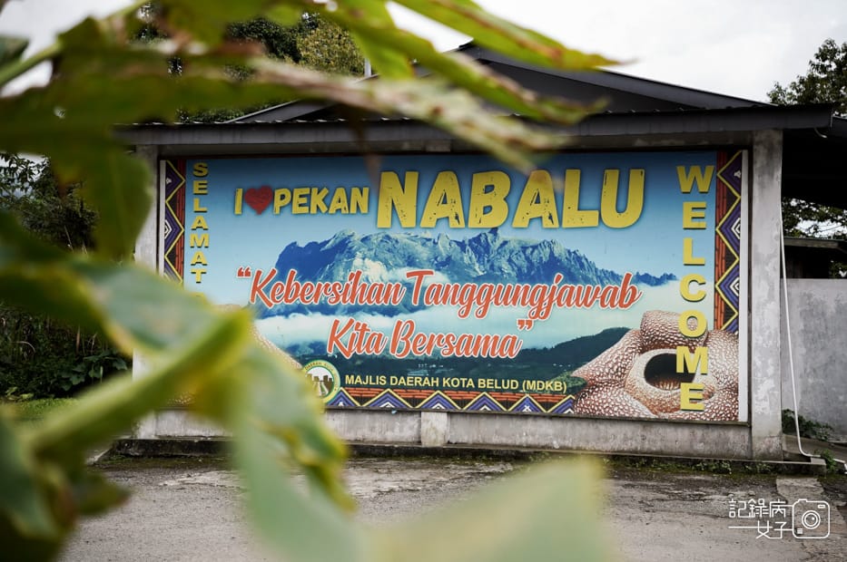 6馬來西亞沙巴神山市集拿巴魯小鎮Pekan Nabalu Weekly Market綜合米線三色奶茶.jpg 6馬來西亞沙巴神山市集拿巴魯小鎮Pekan Nabalu Weekly Market綜合米線三色奶茶.jpg