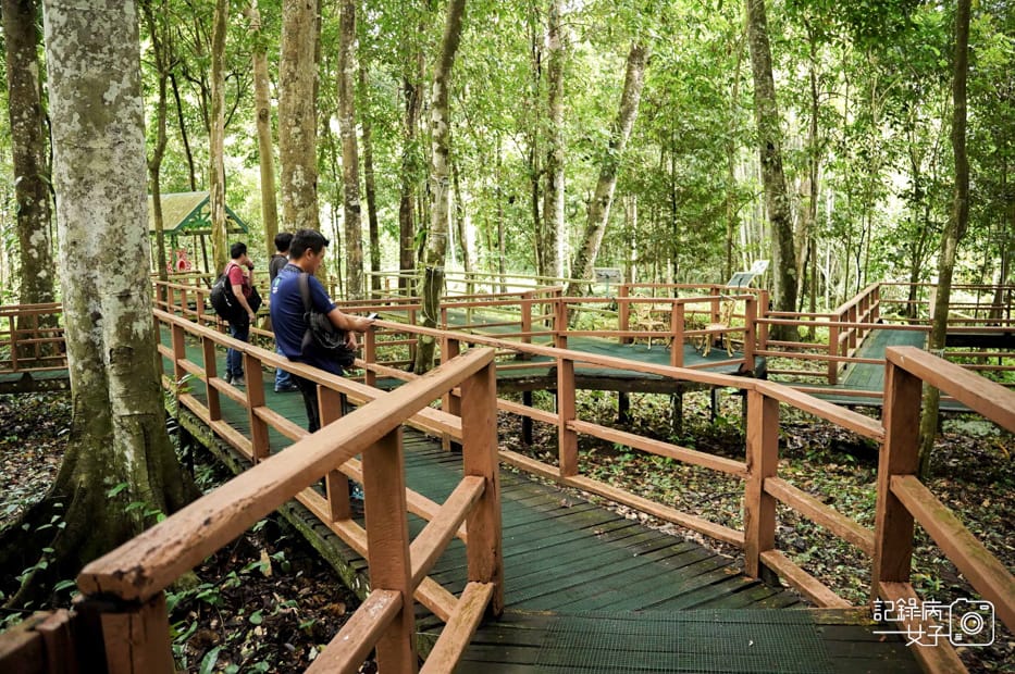 44馬來西亞波令溫泉泡腳阿諾爾特大王花瀑布Poring Hot Spring.jpg 44馬來西亞波令溫泉泡腳阿諾爾特大王花瀑布Poring Hot Spring.jpg