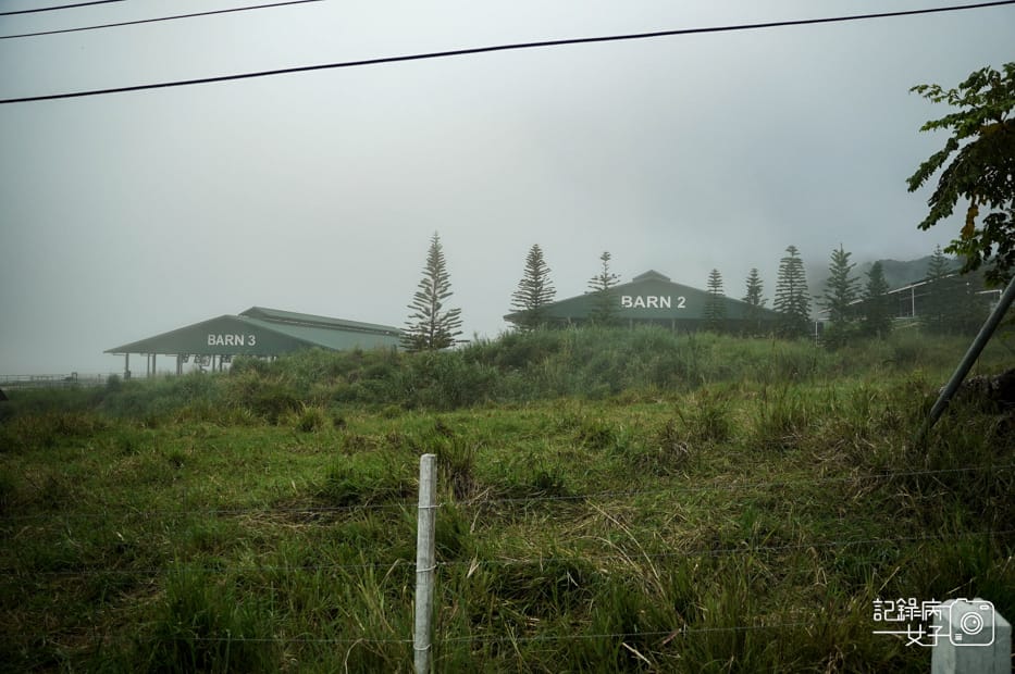 11馬來西亞沙巴Ladang Tenusu Desa Cattle昆達山Desa農場Yogurt ice cream.jpg 11馬來西亞沙巴Ladang Tenusu Desa Cattle昆達山Desa農場Yogurt ice cream.jpg