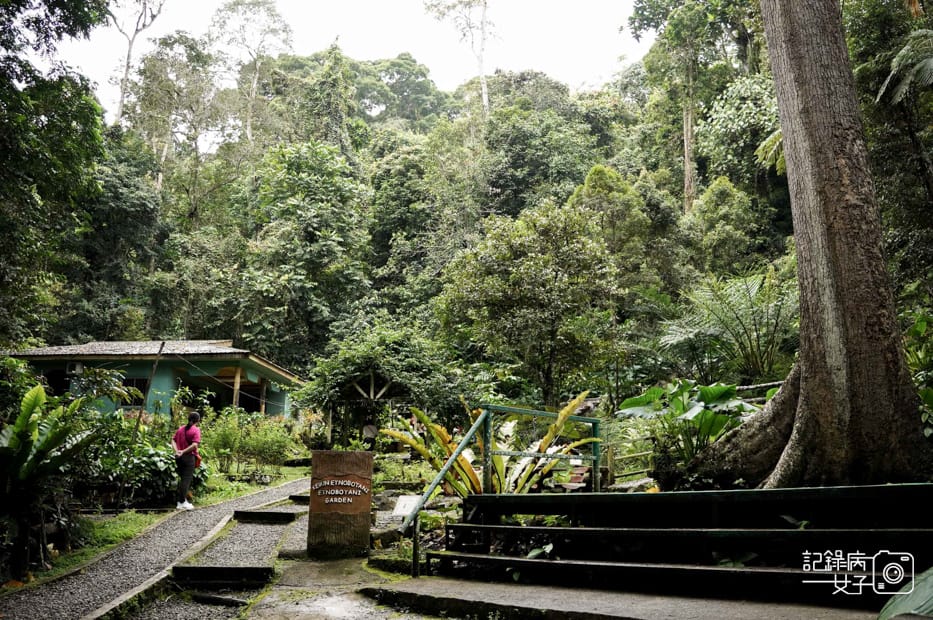 32馬來西亞波令溫泉Poring Hot Spring瀑布Kipungit Waterfall Langanan Waterfall.jpg 32馬來西亞波令溫泉Poring Hot Spring瀑布Kipungit Waterfall Langanan Waterfall.jpg