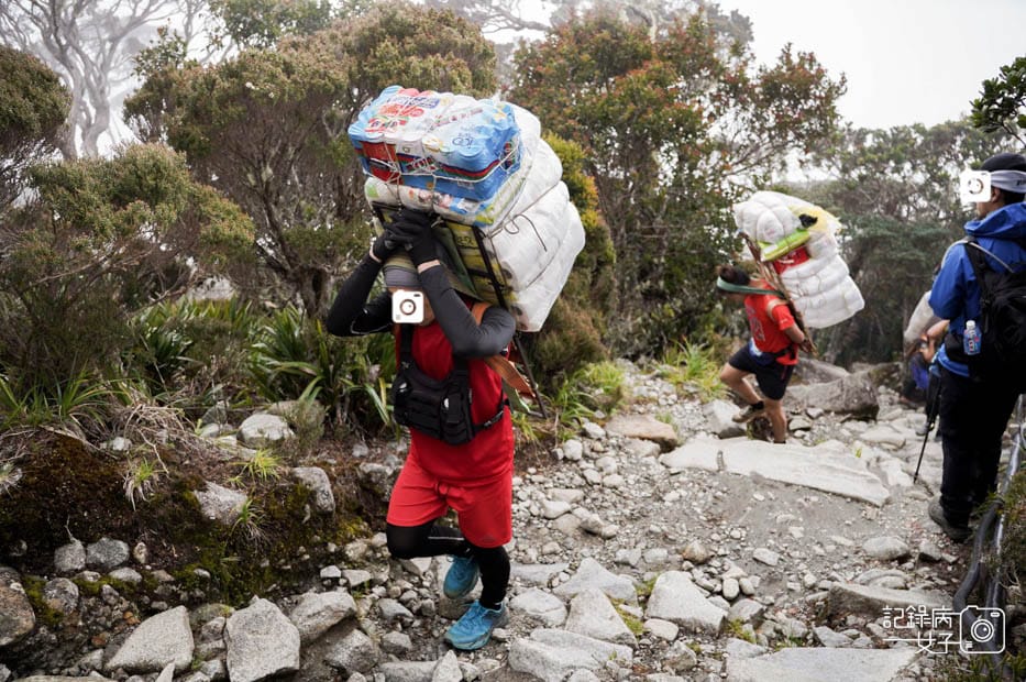 25馬來西亞沙巴神山京那巴魯山Mount Kinabalu兩天一夜高級山屋.jpg
