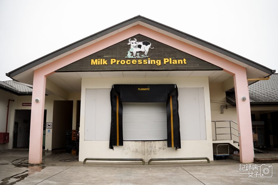 5馬來西亞沙巴Ladang Tenusu Desa Cattle昆達山Desa農場Yogurt ice cream.jpg 5馬來西亞沙巴Ladang Tenusu Desa Cattle昆達山Desa農場Yogurt ice cream.jpg