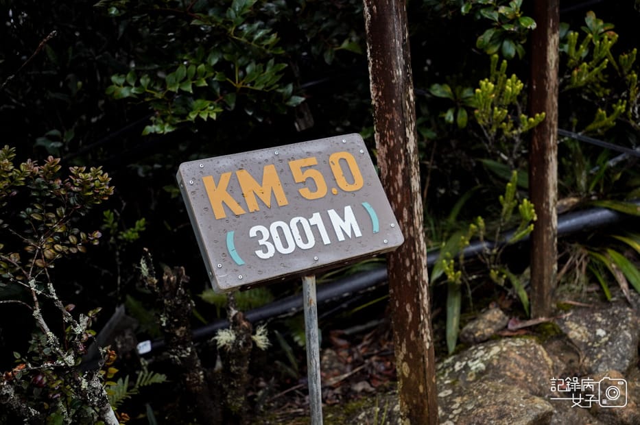 26馬來西亞沙巴神山京那巴魯山Mount Kinabalu兩天一夜高級山屋.jpg