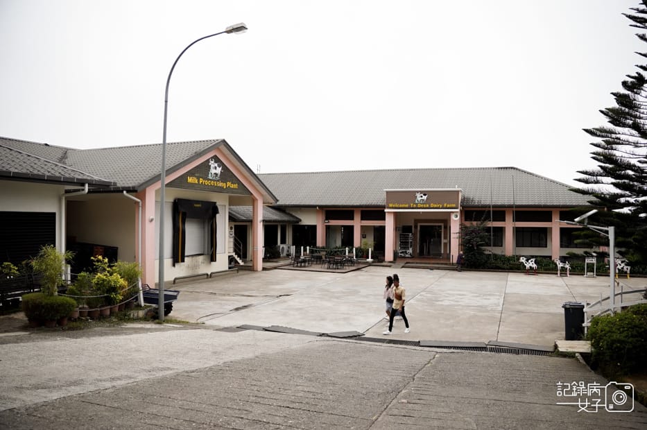 4馬來西亞沙巴Ladang Tenusu Desa Cattle昆達山Desa農場Yogurt ice cream.jpg 4馬來西亞沙巴Ladang Tenusu Desa Cattle昆達山Desa農場Yogurt ice cream.jpg