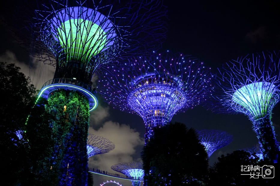 32新加坡轉機必踩景點Gardens by the Bay濱海灣花園絕美空中花園燈光秀.jpg