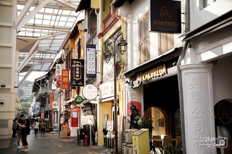 13Chinatown牛車水巴剎壁畫牛車水大廈Chinatown Complex.jpg