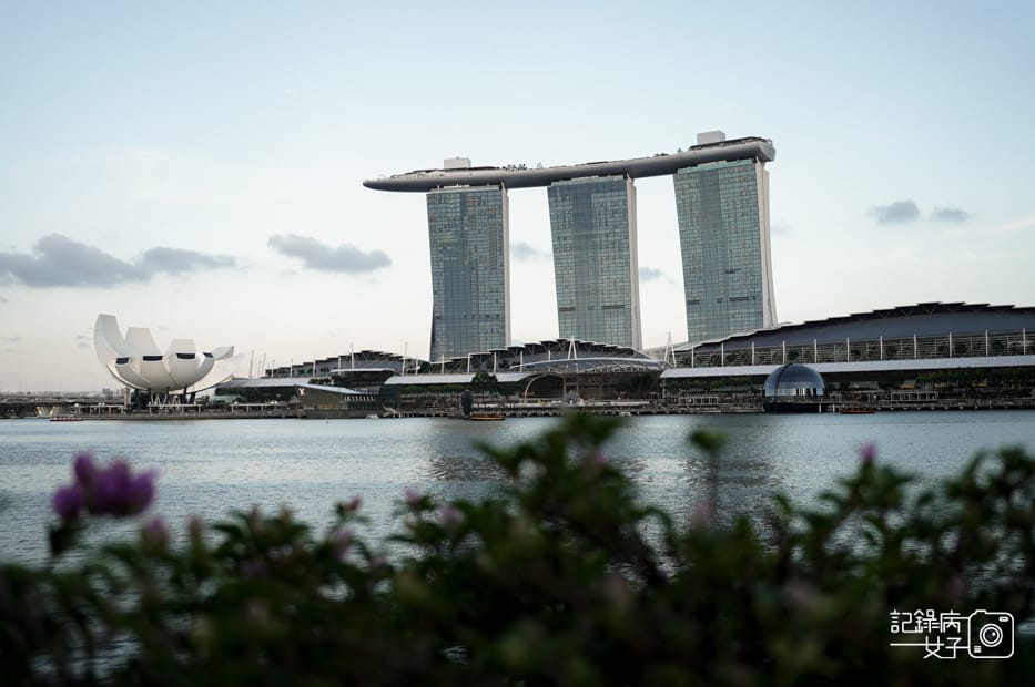36新加坡轉機必踩景點魚尾獅公園濱海灣花園空中花園燈光秀.jpg