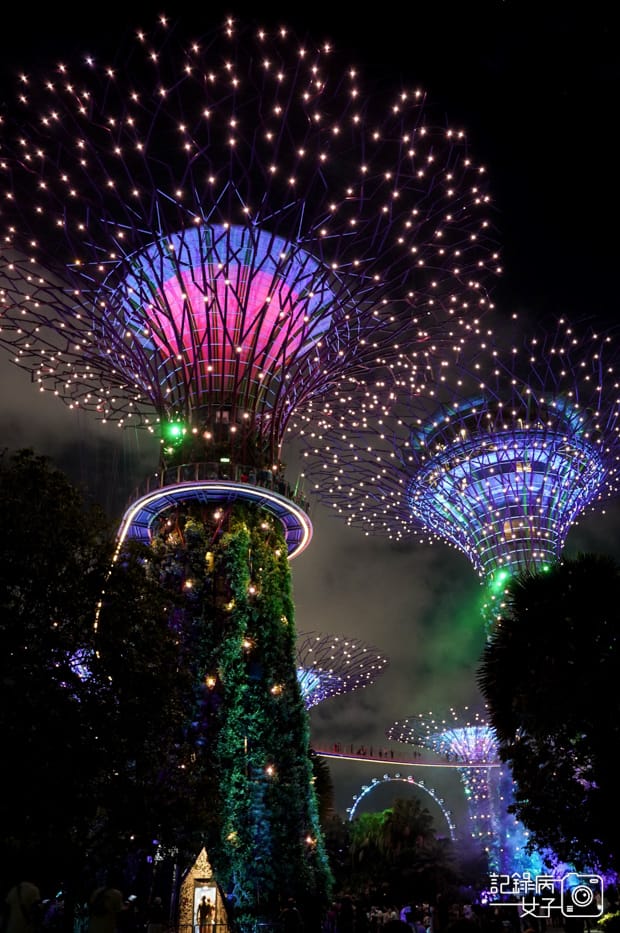 29新加坡轉機必踩景點Gardens by the Bay濱海灣花園絕美空中花園燈光秀.jpg