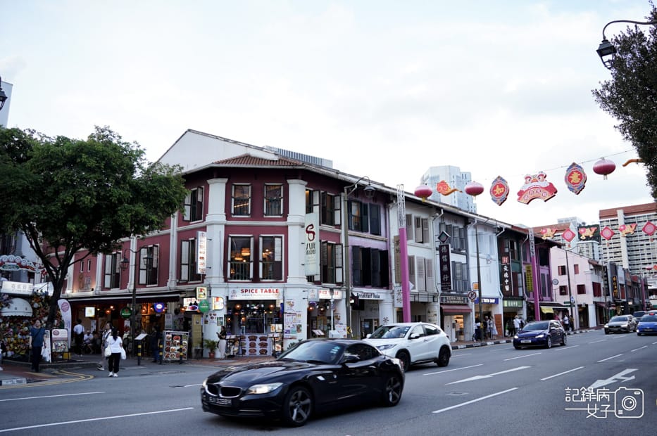 8Chinatown牛車水巴剎壁畫牛車水大廈Chinatown Complex.jpg