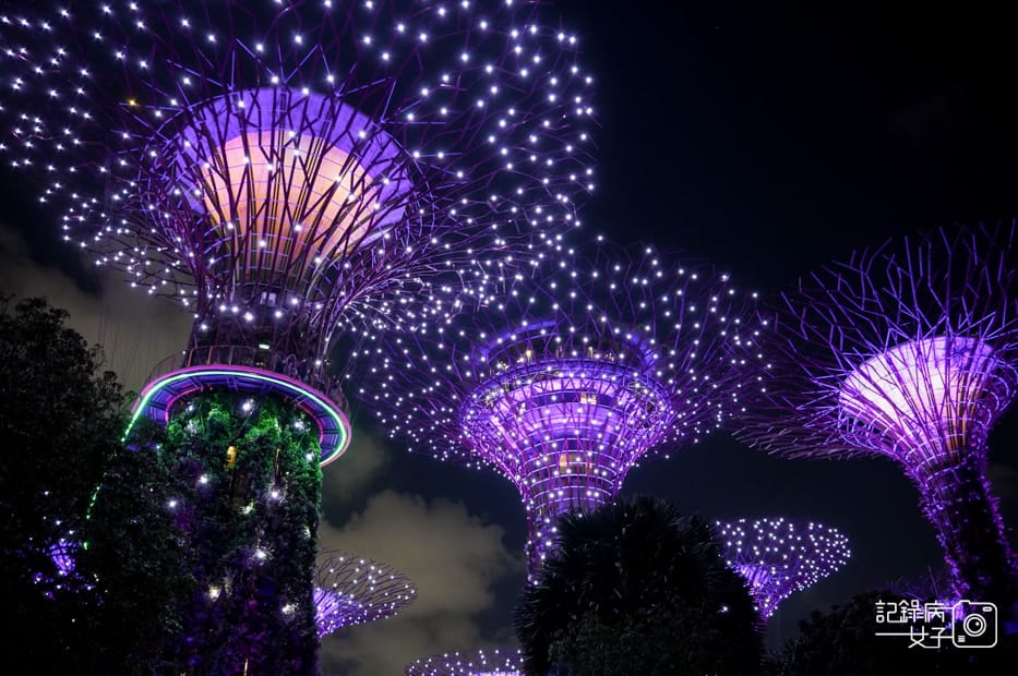 31新加坡轉機必踩景點Gardens by the Bay濱海灣花園絕美空中花園燈光秀.jpg