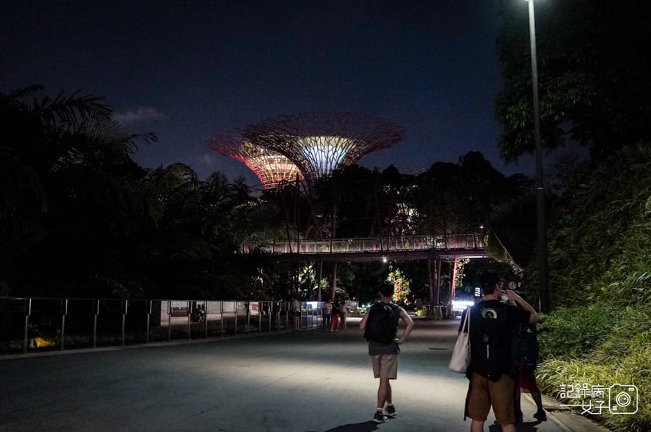 26新加坡轉機必踩景點Gardens by the Bay濱海灣花園絕美空中花園燈光秀.jpg