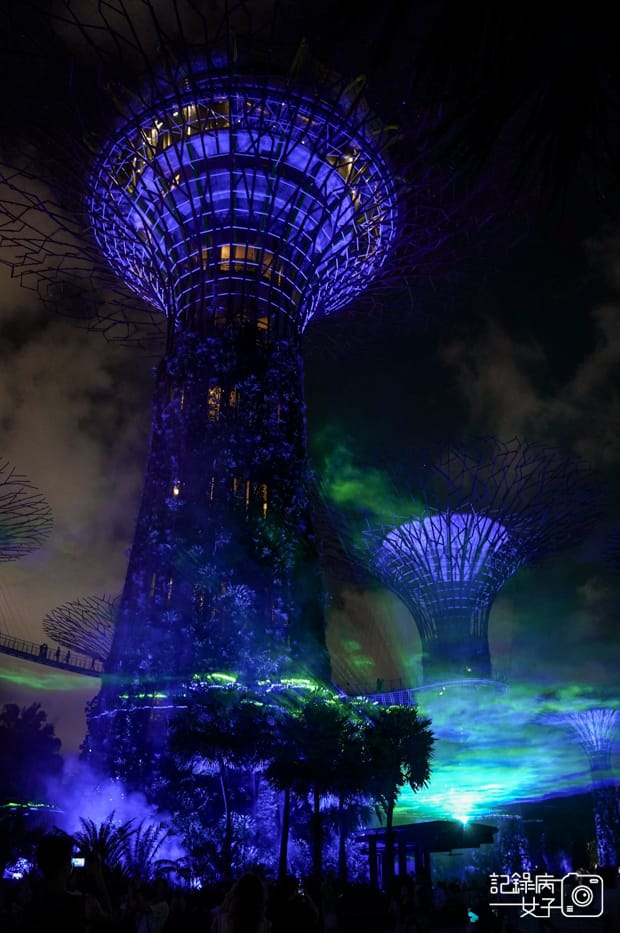 35新加坡轉機必踩景點Gardens by the Bay濱海灣花園絕美空中花園燈光秀.jpg