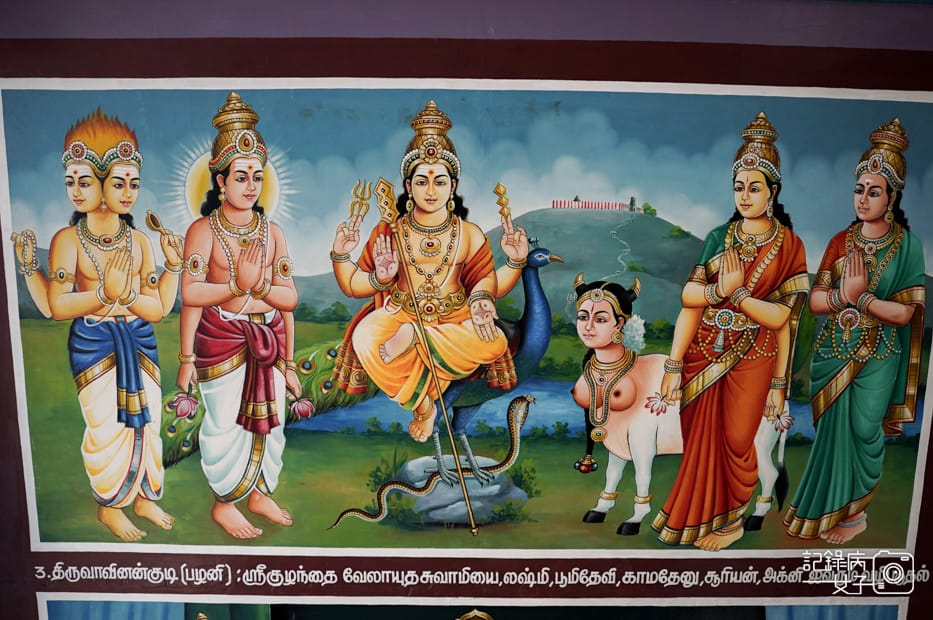 22新加坡馬里安曼廟SingaporeSri Mariamman Temple牛車水Chinatown百年印度廟.jpg