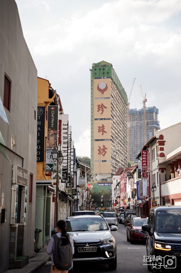 3Chinatown牛車水巴剎壁畫牛車水大廈Chinatown Complex.jpg