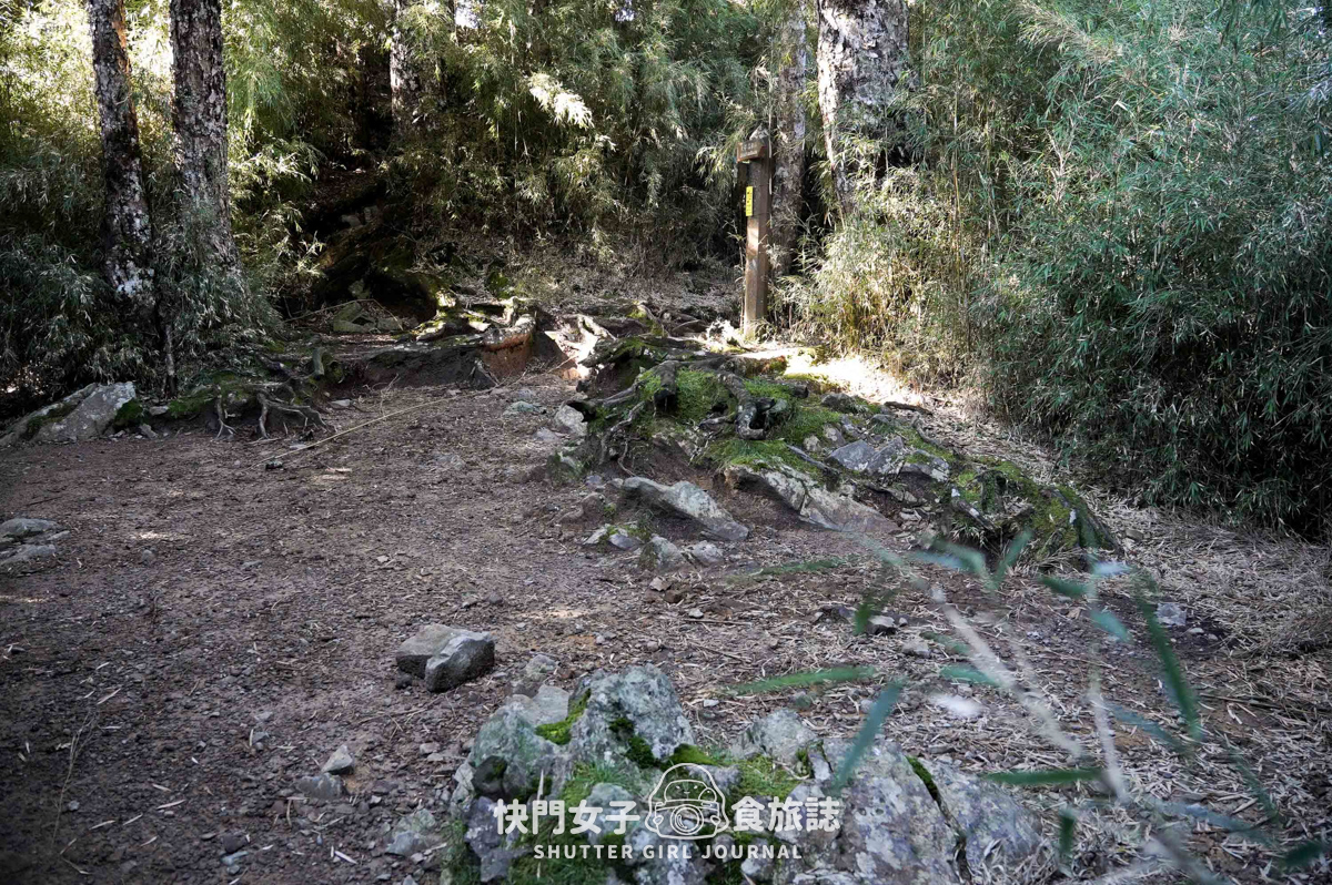 【二日四秀】武陵四秀 x 石瀑池有山 x 挑戰V斷品田山 x 日出桃山 x 鳥山喀拉業山 x 新達山屋