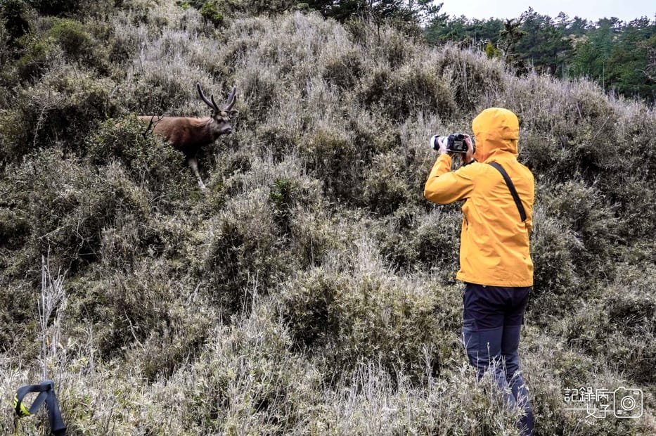 32戒茂斯上嘉明湖三天兩夜天使的眼淚妹池水鹿.jpg