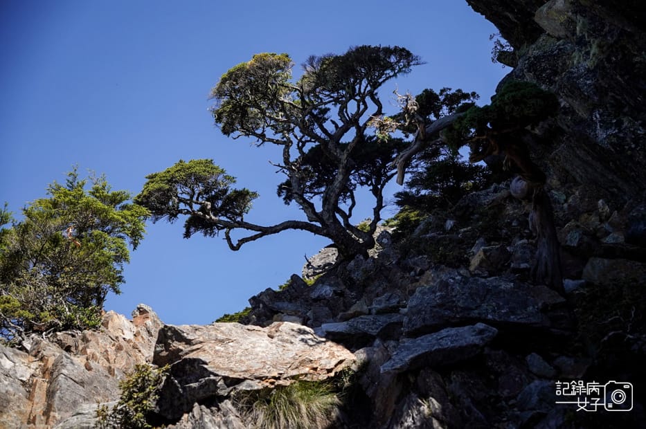 30台灣百岳武陵兩日四秀池有山池有明樹.jpg